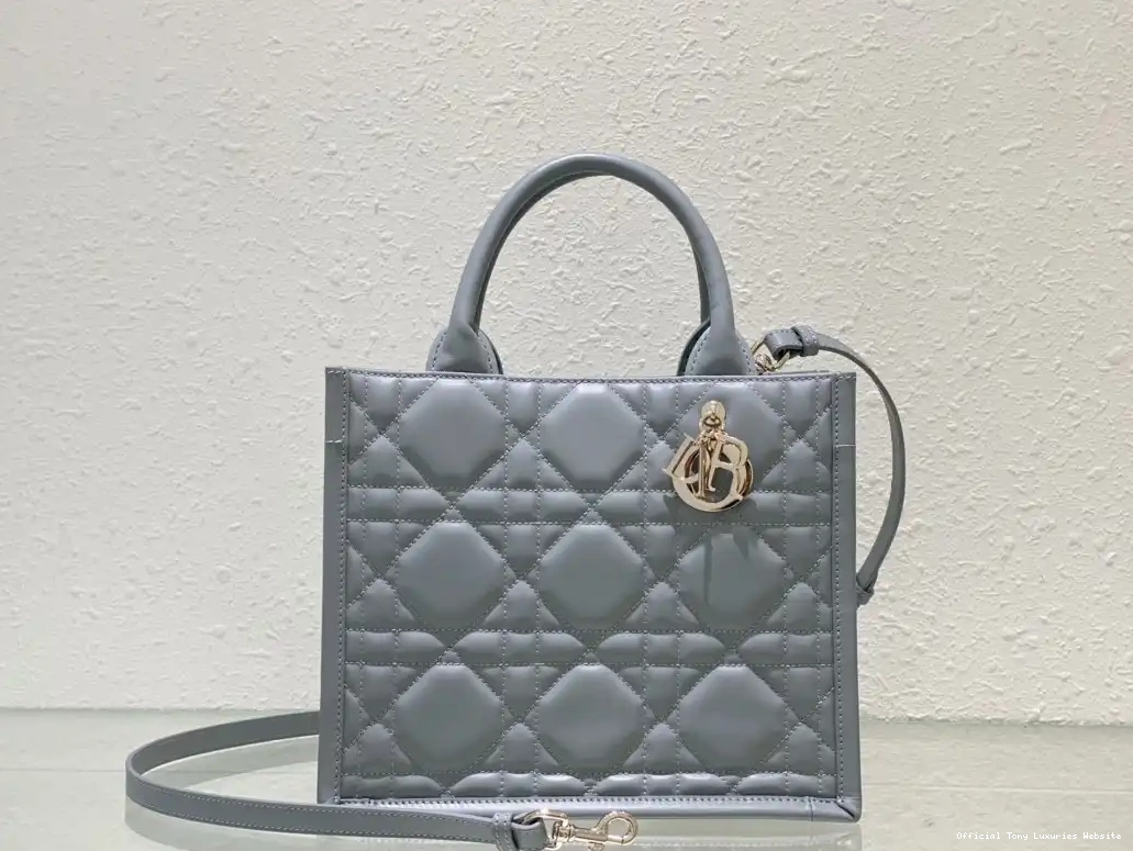 Tony Luxuries SMALL diro TOTE-26.5*21*14CM BOOK 0405